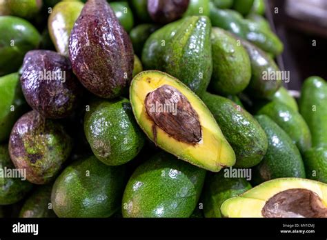 philippine avocado.